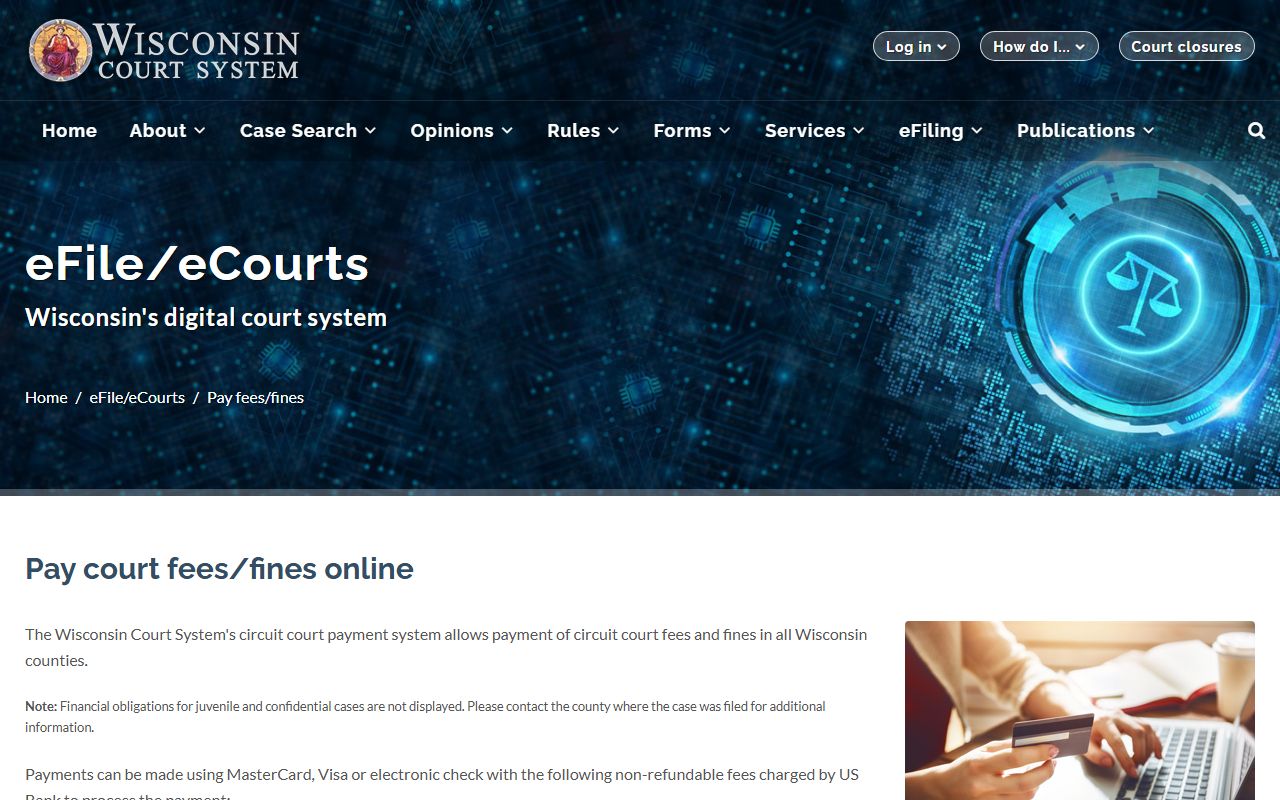 Wisconsin court online payment page for Brown County docket fines